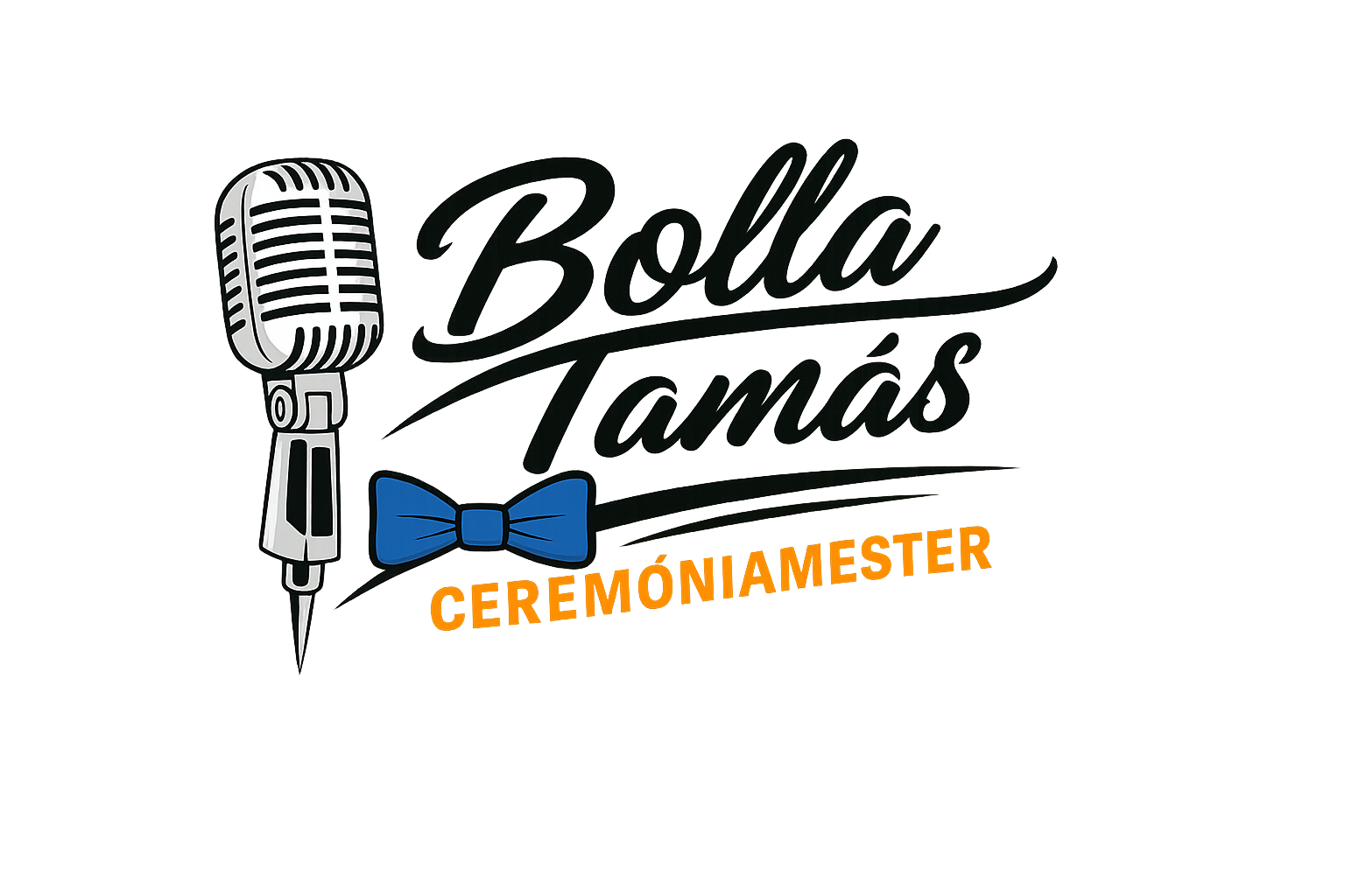 logo_bt_custom_black